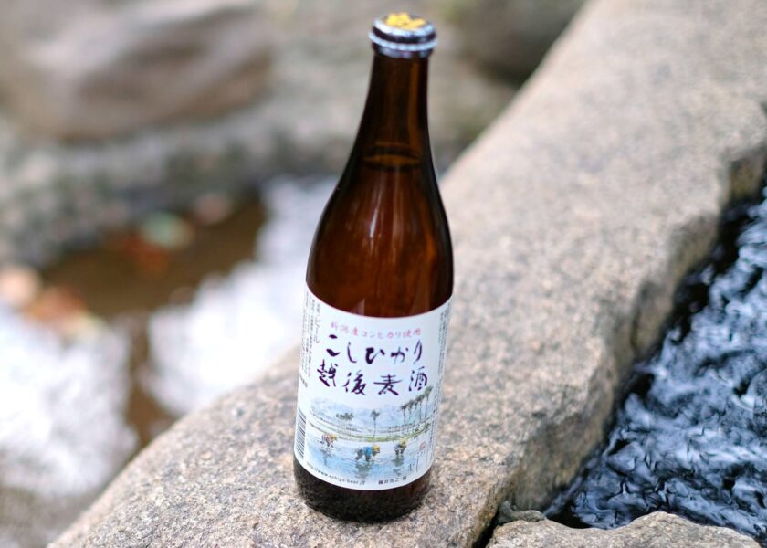 Koshihikari beer taglio